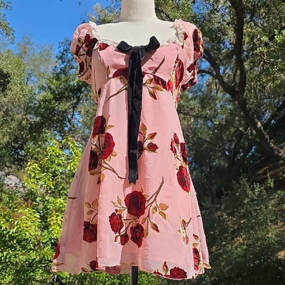 NWT FOR LOVE AND LEMONS VELVET ROSE BURNOUT PINK MINI DRESS SIZE L - Picture 4 of 7